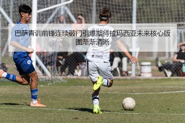 img_1783705873786_43_1_483.jpg